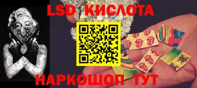 тгк Бийск