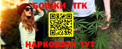 тгк Бийск