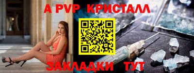 тгк Бийск
