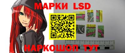тгк Бийск