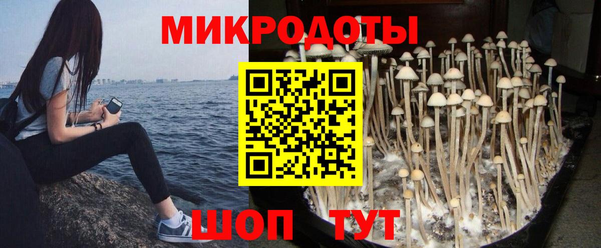Галлюциногенные грибы ЛСД Кимовск