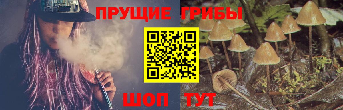 Кимовск  Галлюциногенные грибы ЛСД  Вход с VPN 